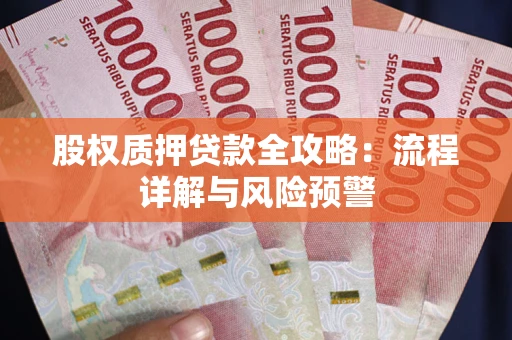 北京股权质押贷款全攻略：流程详解与风险预警