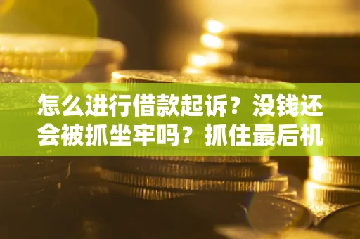 北京怎么进行借款起诉？没钱还会被抓坐牢吗？抓住最后机会！