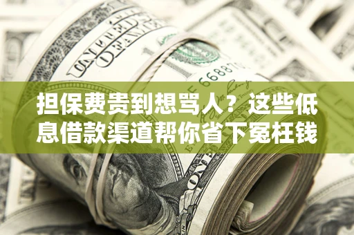 北京担保费贵到想骂人？这些低息借款渠道帮你省下冤枉钱