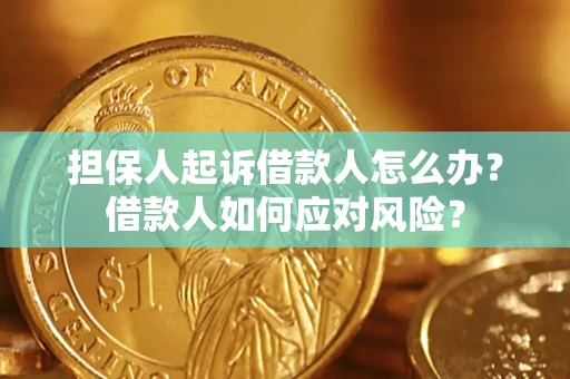 北京担保人起诉借款人怎么办？借款人如何应对风险？