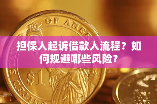 北京担保人起诉借款人流程？如何规避哪些风险？