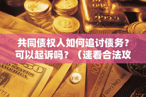 北京共同债权人如何追讨债务？可以起诉吗？（速看合法攻略）