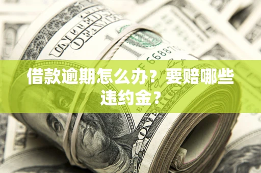 北京借款逾期怎么办？要赔哪些违约金？